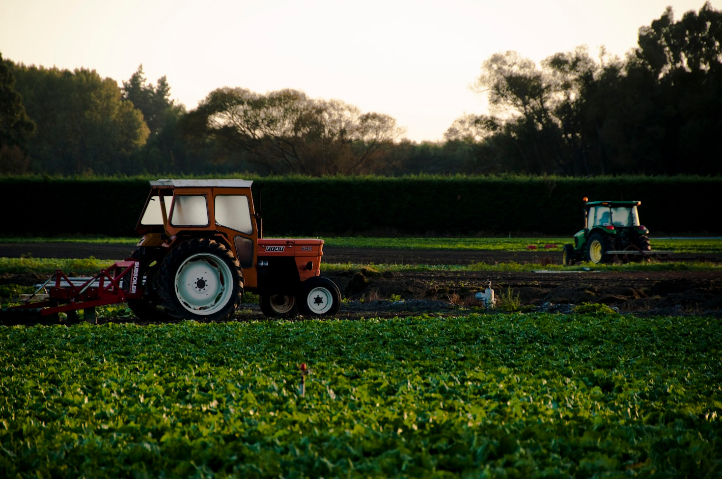 I segreti della tradizione agricola locale italiana